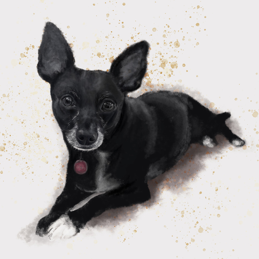 Retrato-digital-Nova-1x1