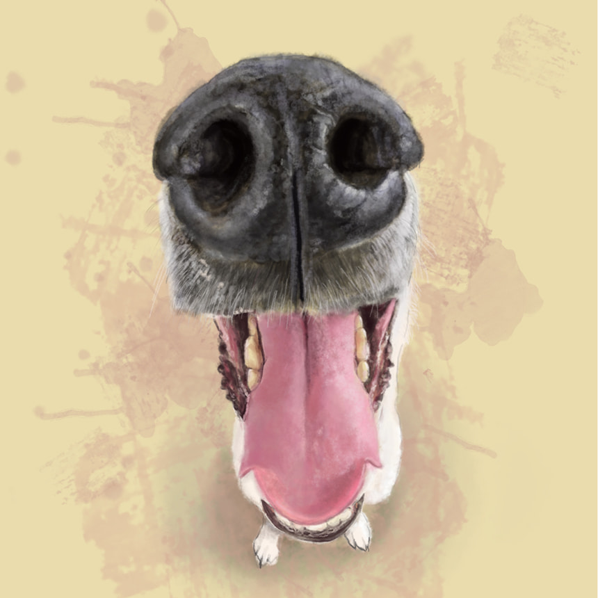 Retrato-digital-trufa-perro